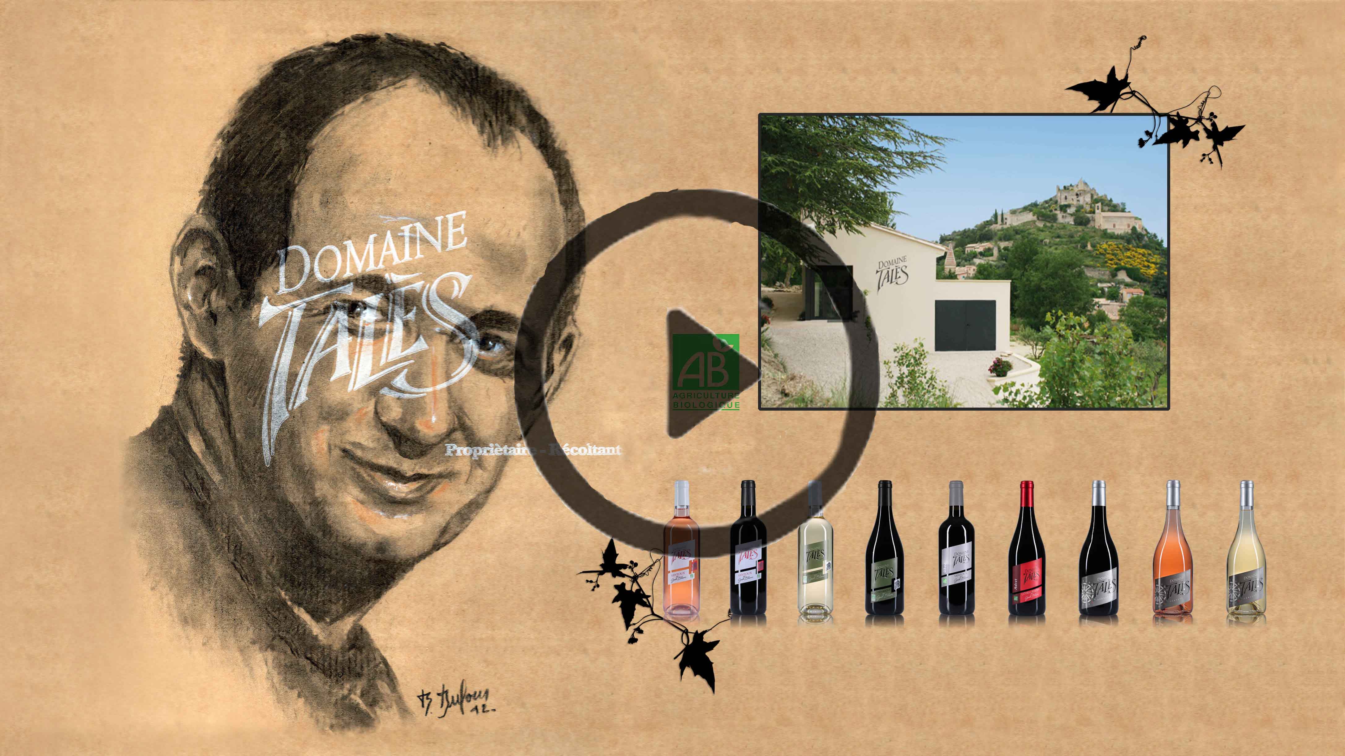 Video de presentation du domaine