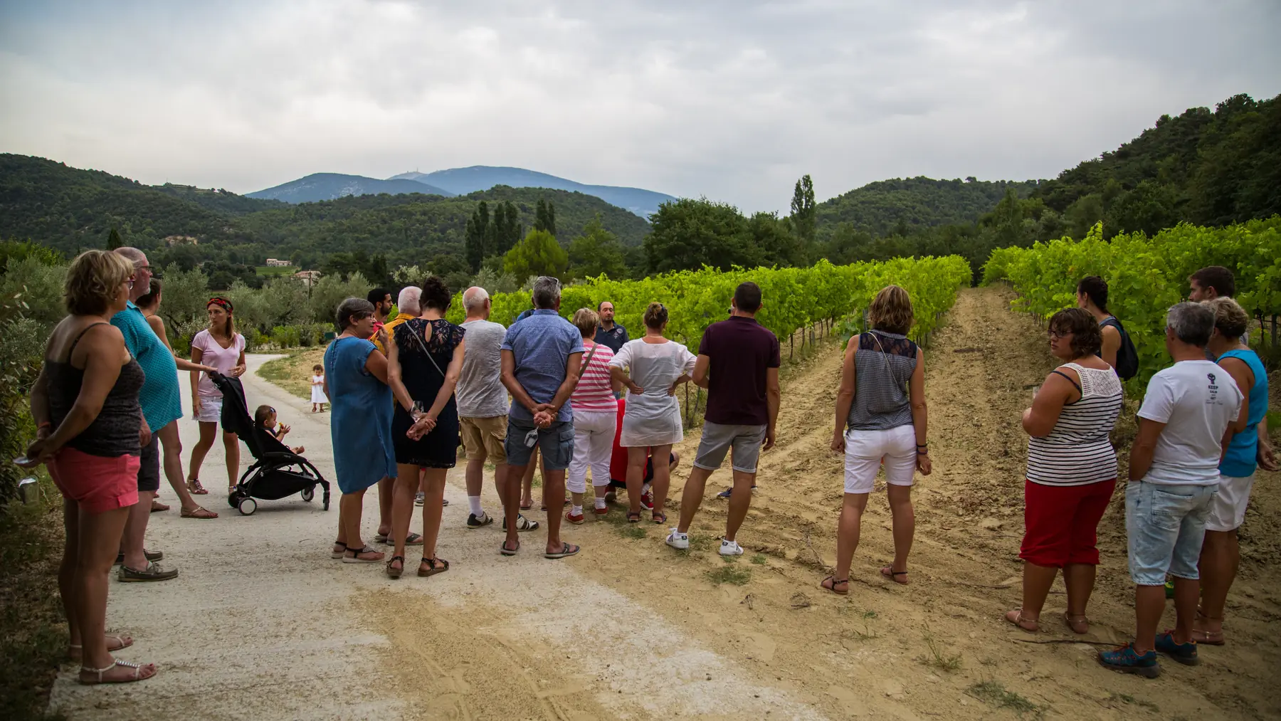 Dégustation pendant l’atelier découverte